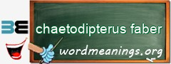 WordMeaning blackboard for chaetodipterus faber